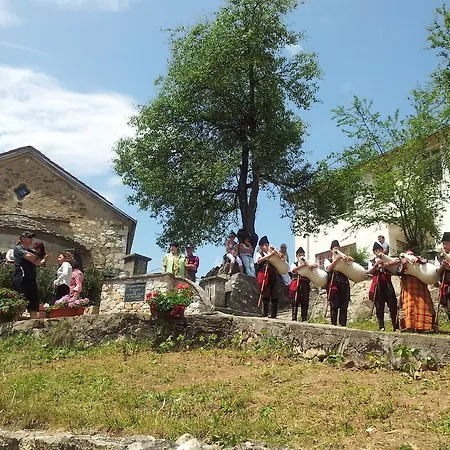 Sarievi Progled