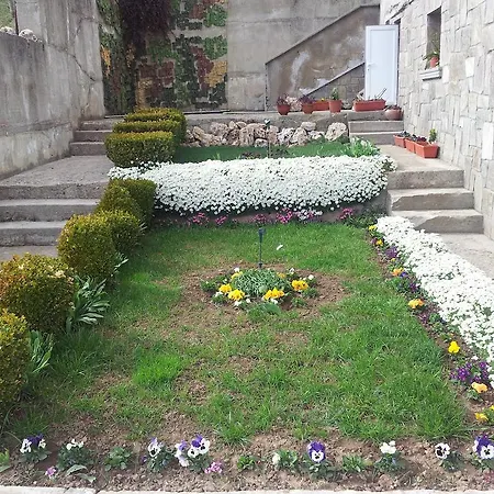 Sarievi Progled