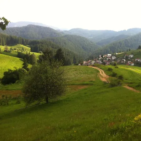Sarievi Progled